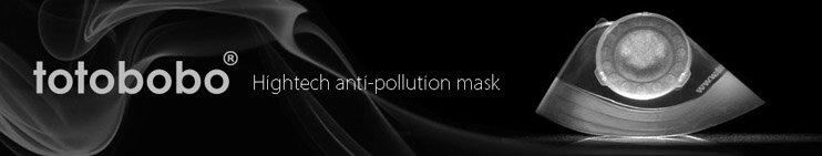 Totobobo pollution masks Beijing at Torana Clean Air Center